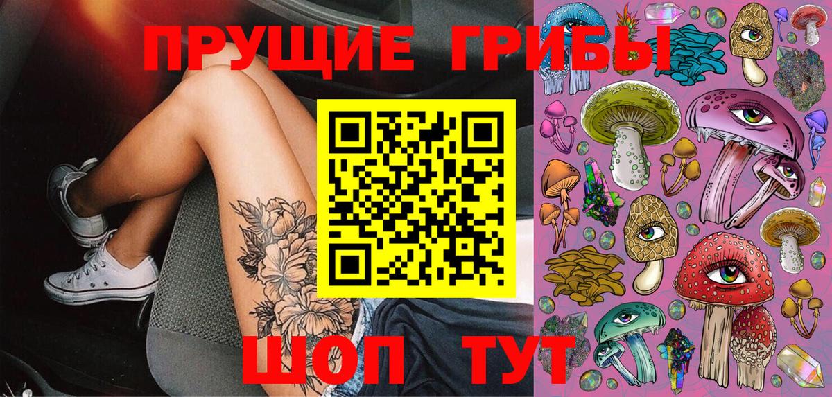 Псилоцибиновые грибы Cubensis Нефтекумск